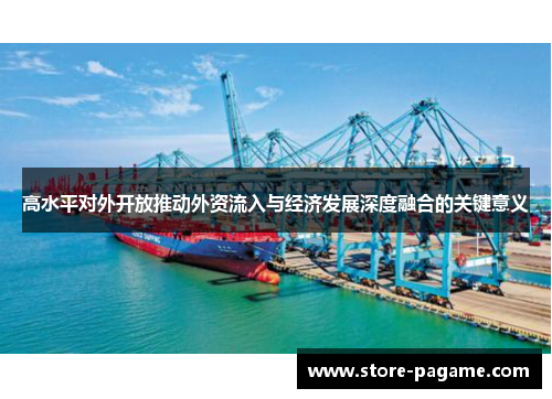 高水平对外开放推动外资流入与经济发展深度融合的关键意义